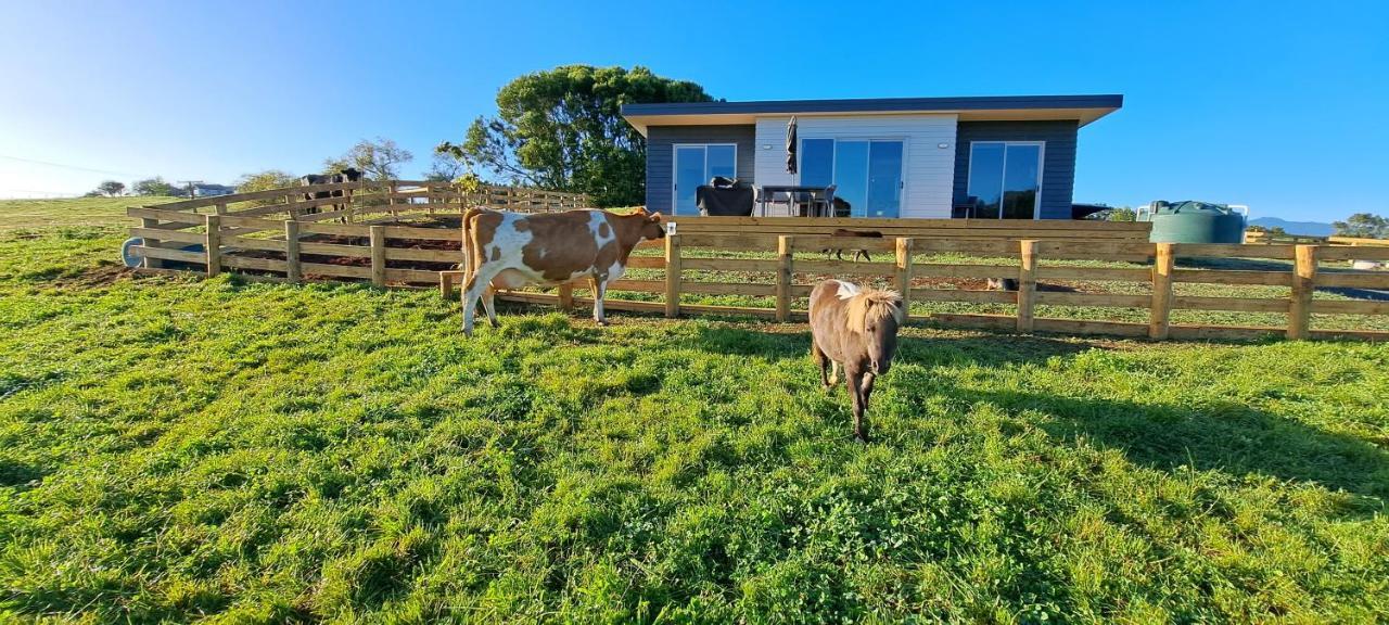 Country Comfort - Only 10 Minutes From Hamilton Cbd 外观 照片