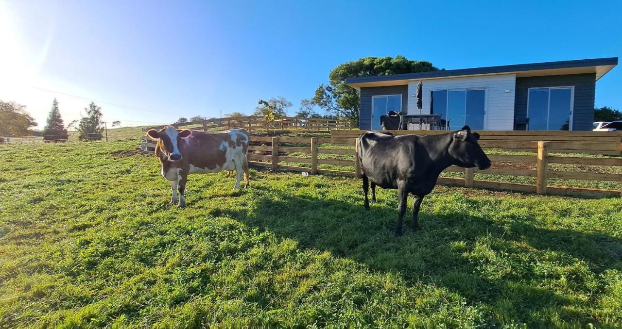 Country Comfort - Only 10 Minutes From Hamilton Cbd 外观 照片