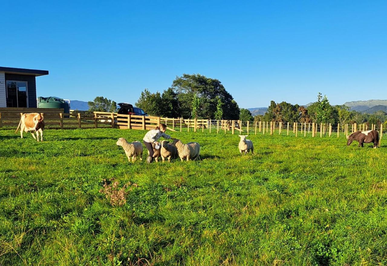 Country Comfort - Only 10 Minutes From Hamilton Cbd 外观 照片