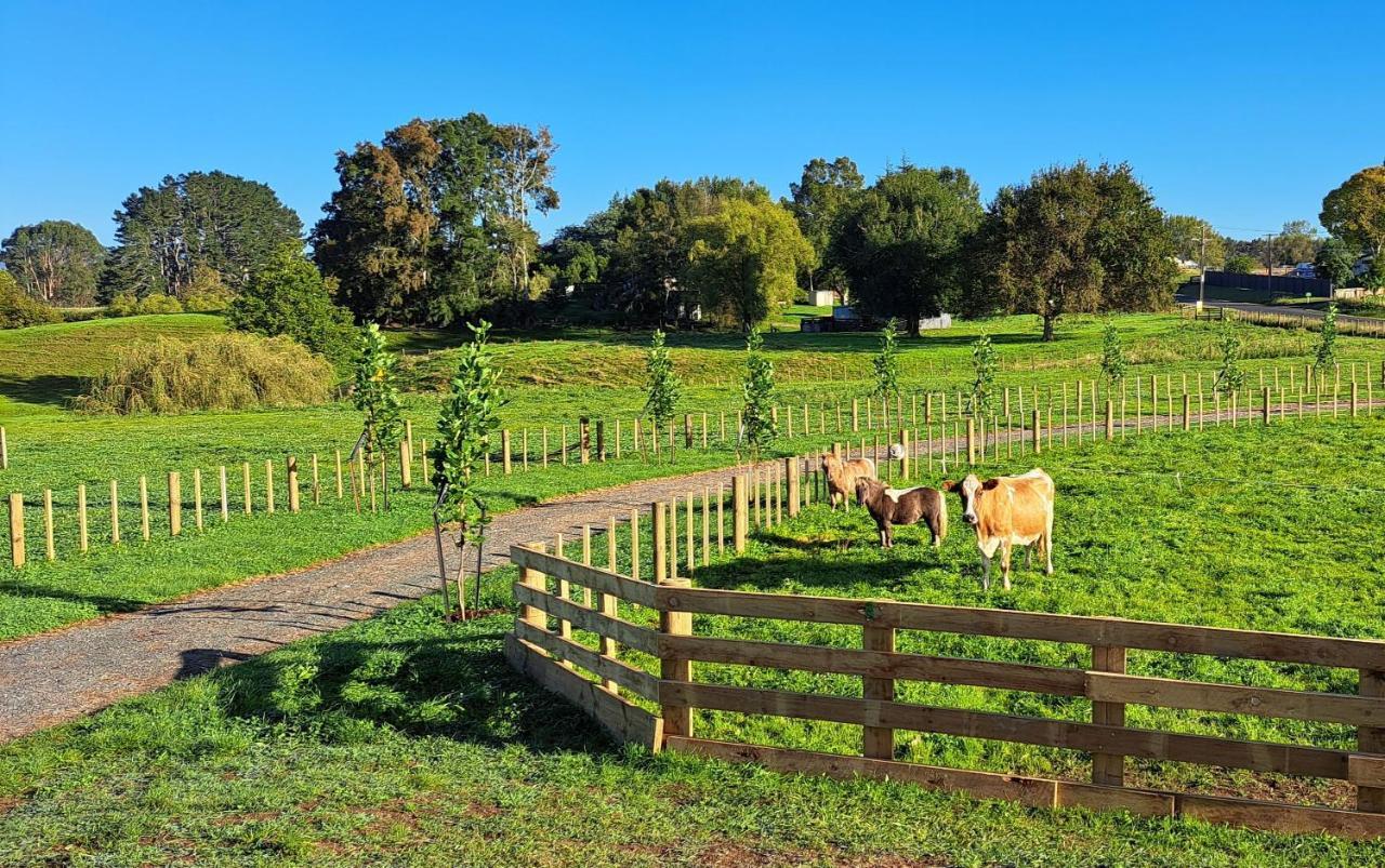 Country Comfort - Only 10 Minutes From Hamilton Cbd 外观 照片