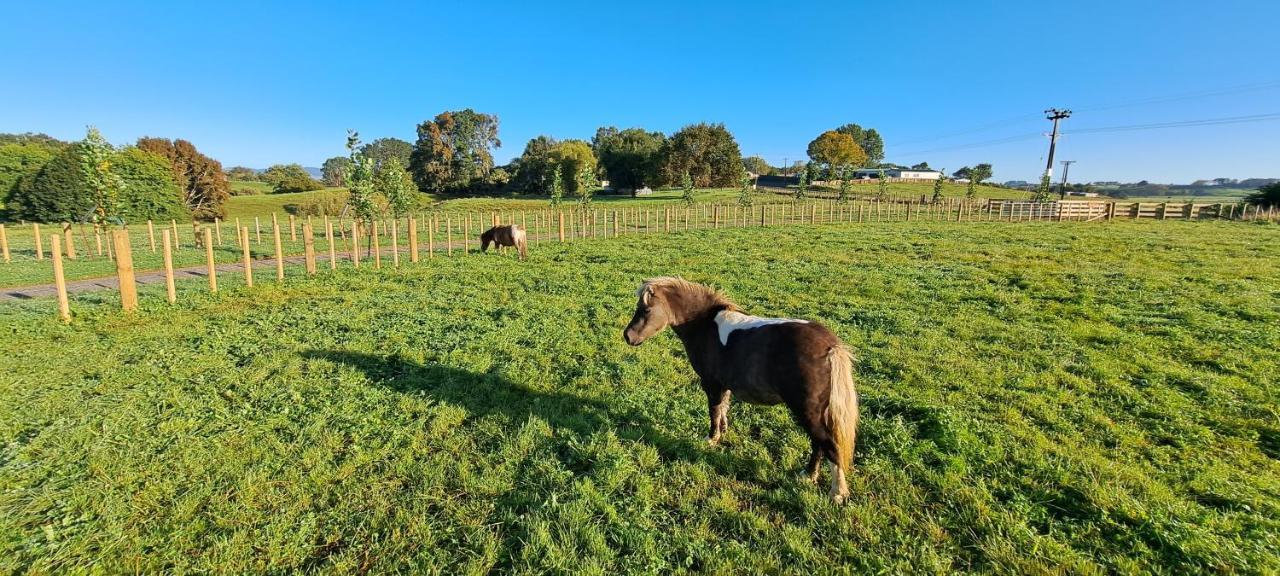 Country Comfort - Only 10 Minutes From Hamilton Cbd 外观 照片