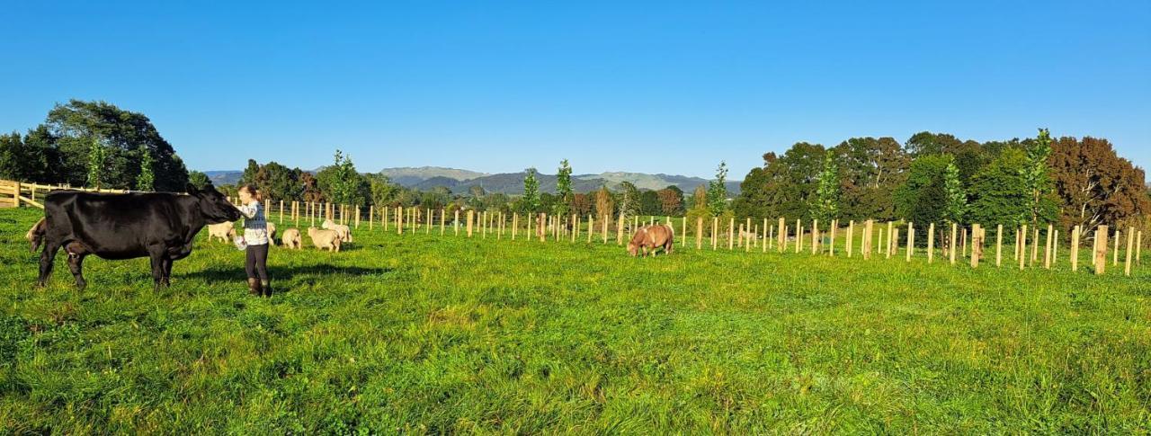 Country Comfort - Only 10 Minutes From Hamilton Cbd 外观 照片